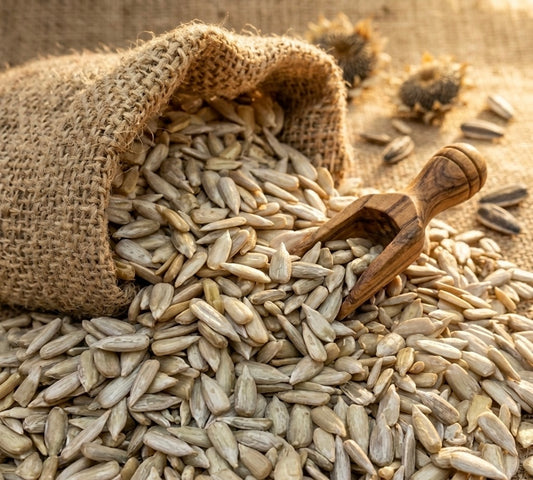 Premium SunFlower Seeds